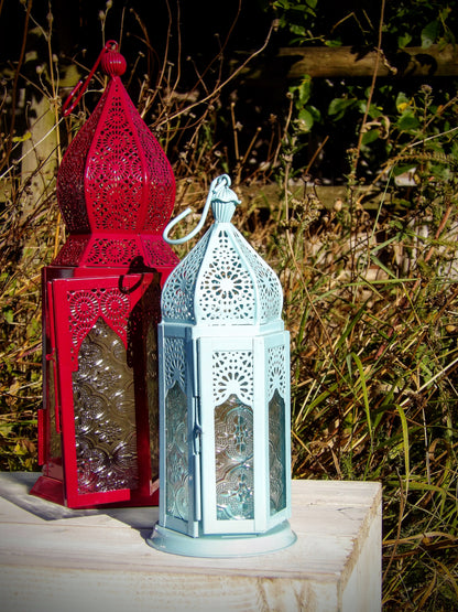 Fuschia Lantern