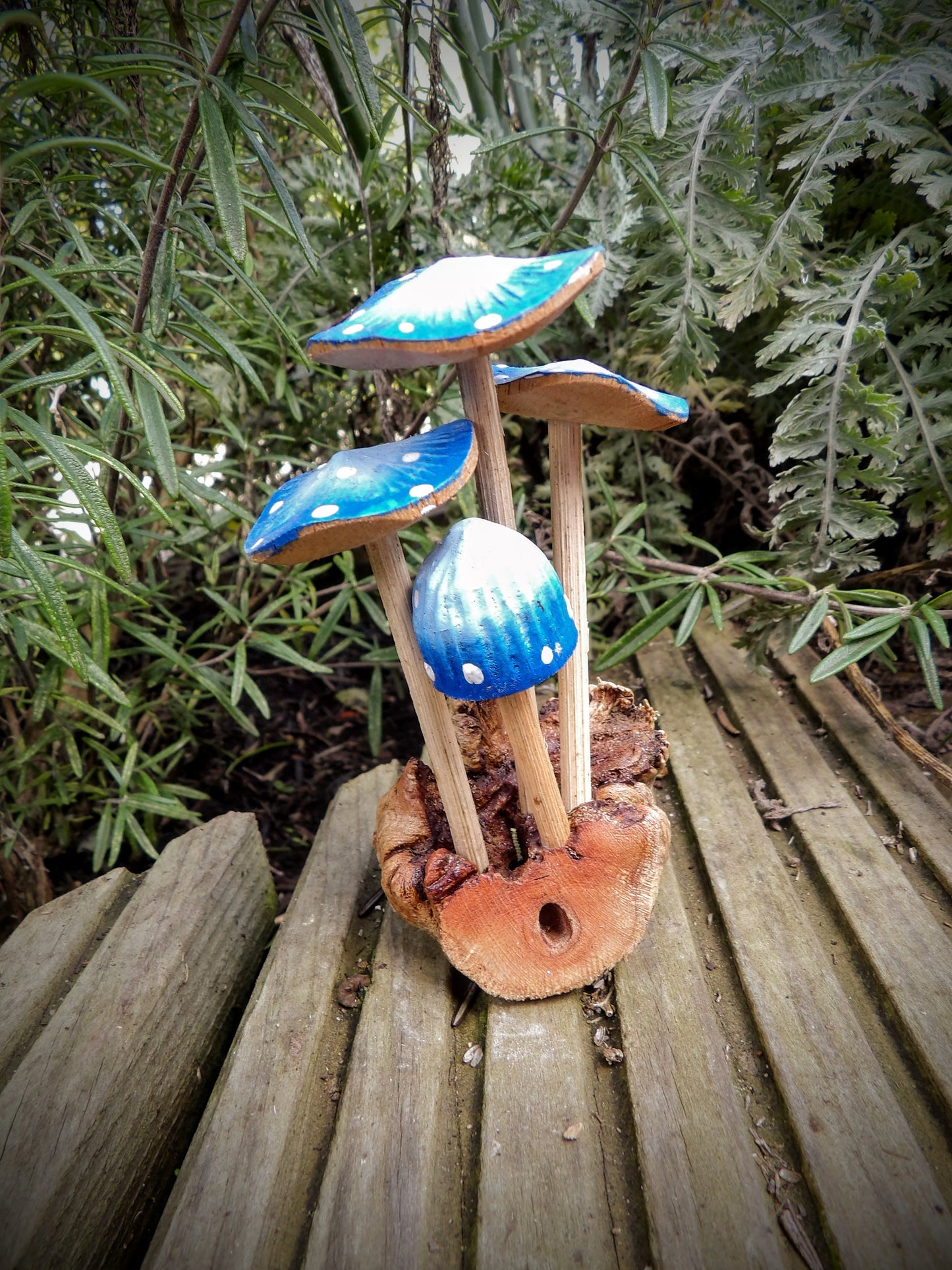 Blue Mushrooms