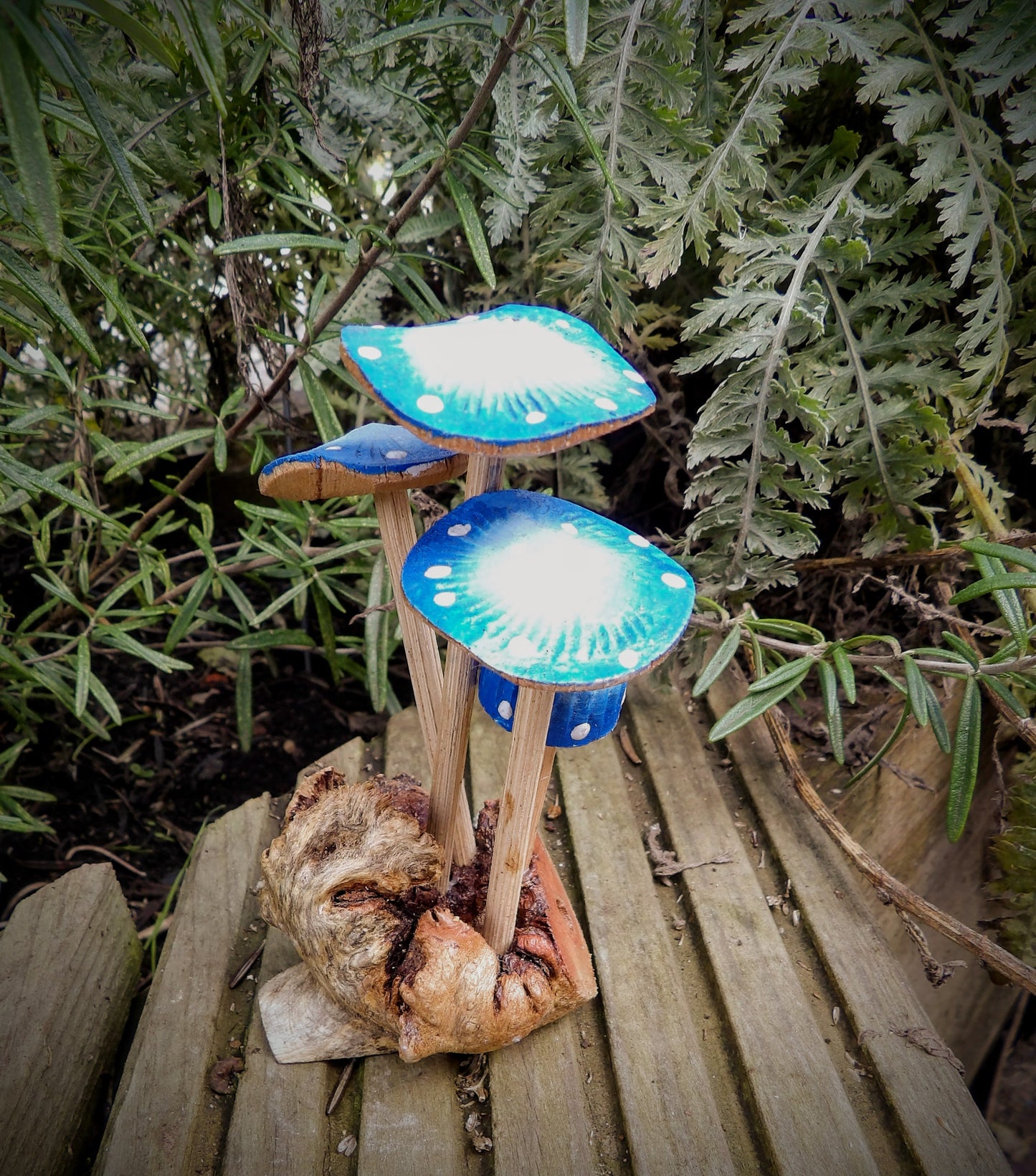 Blue Mushrooms