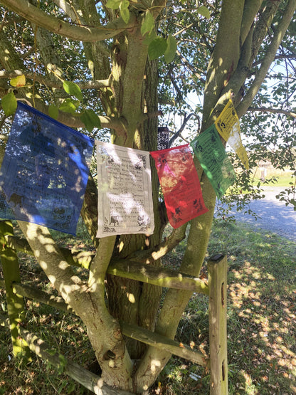 Prayer flags