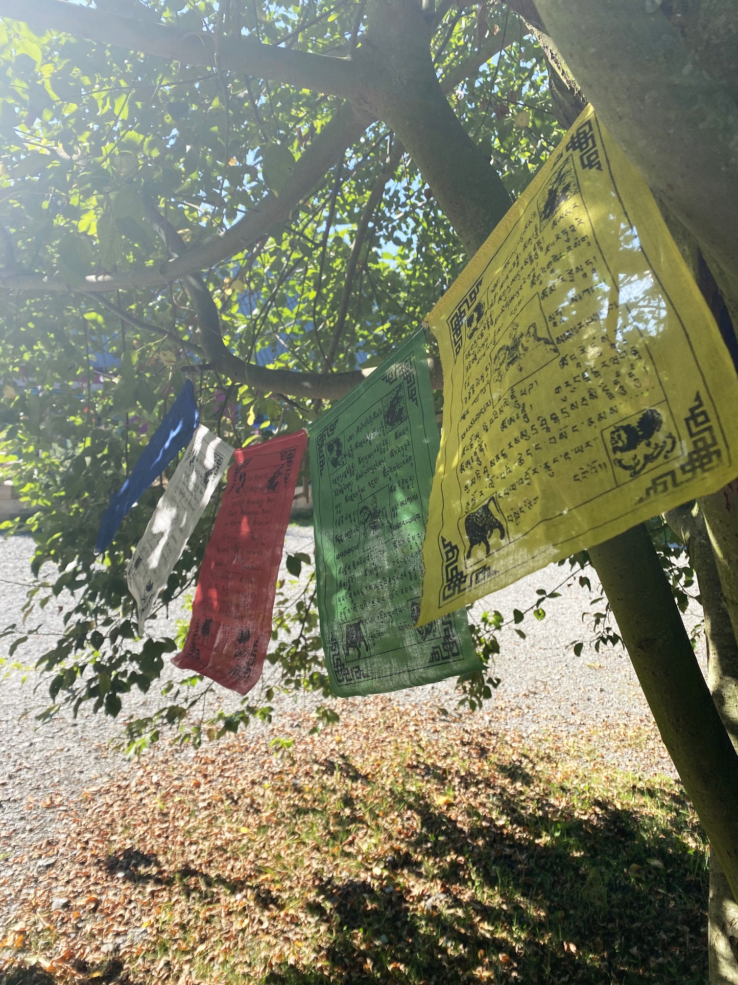 Prayer flags