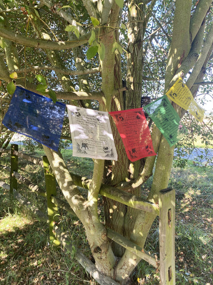 Prayer flags